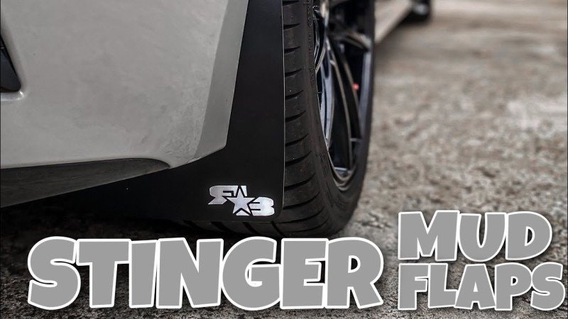 Kia Stinger: En Ovanlig Pärla som Förtjänar Skydd