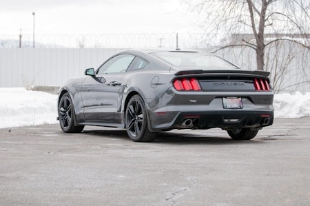 Ford Mustang Stänkskydd