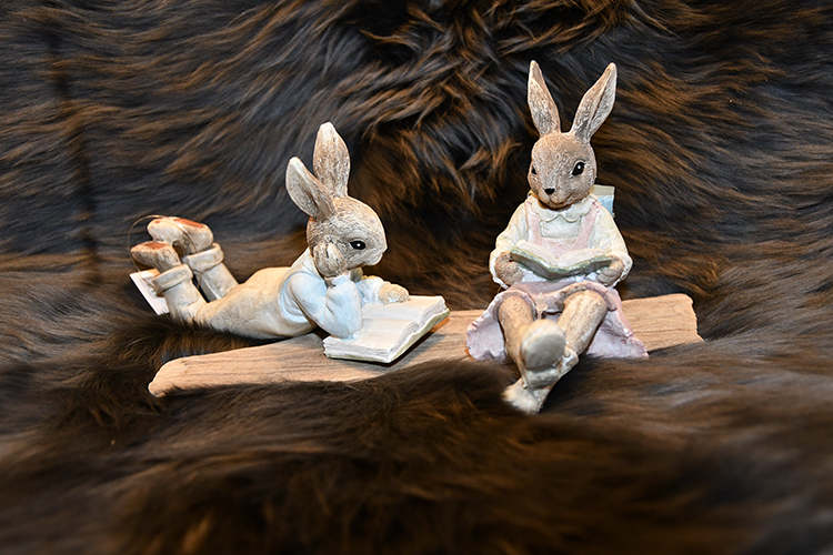 Kaniner som läser