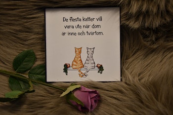 Roliga plåtskyltar