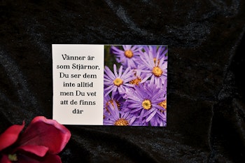 Vykort från egna motiv