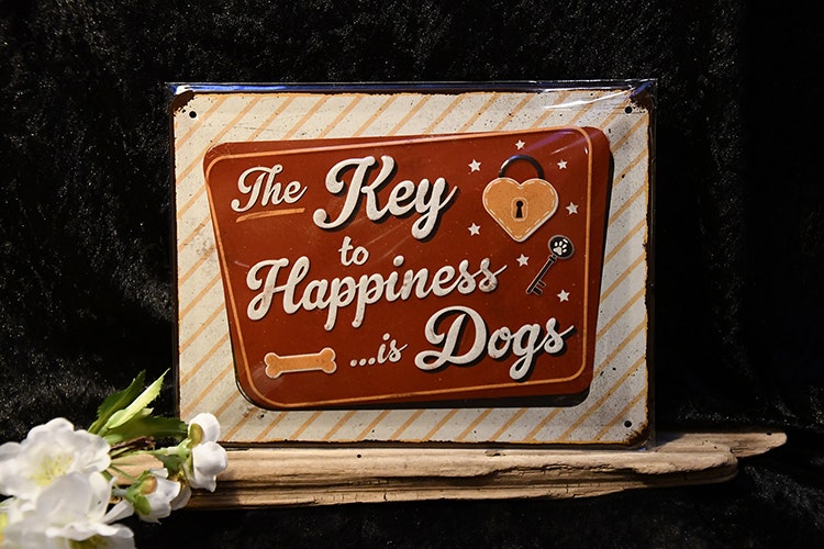 Plåtskylt Key to Happiness Hund