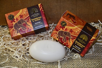 Sandalwood & Amber tvål