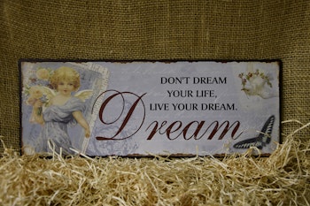 Don´t Dream Your Life Live Your Dream