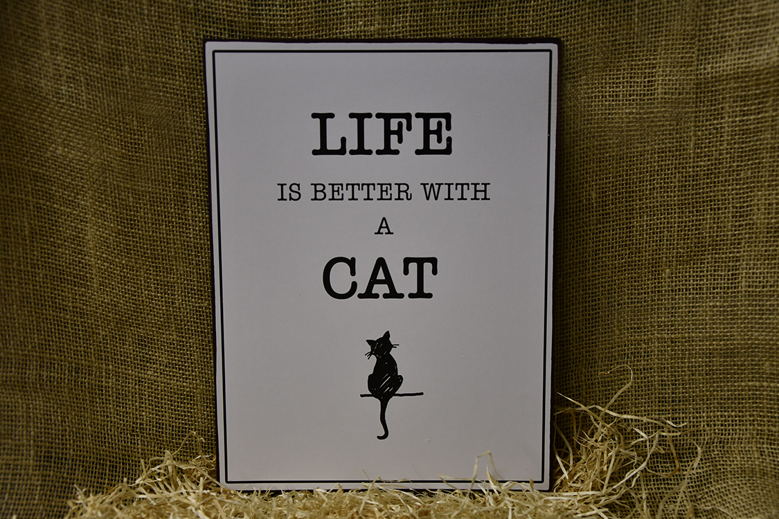 Life is better with a Cat