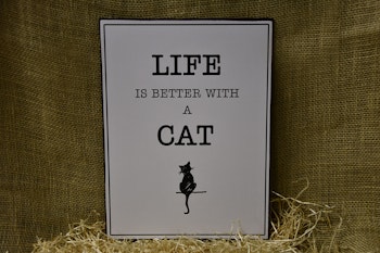 Life is better with a Cat