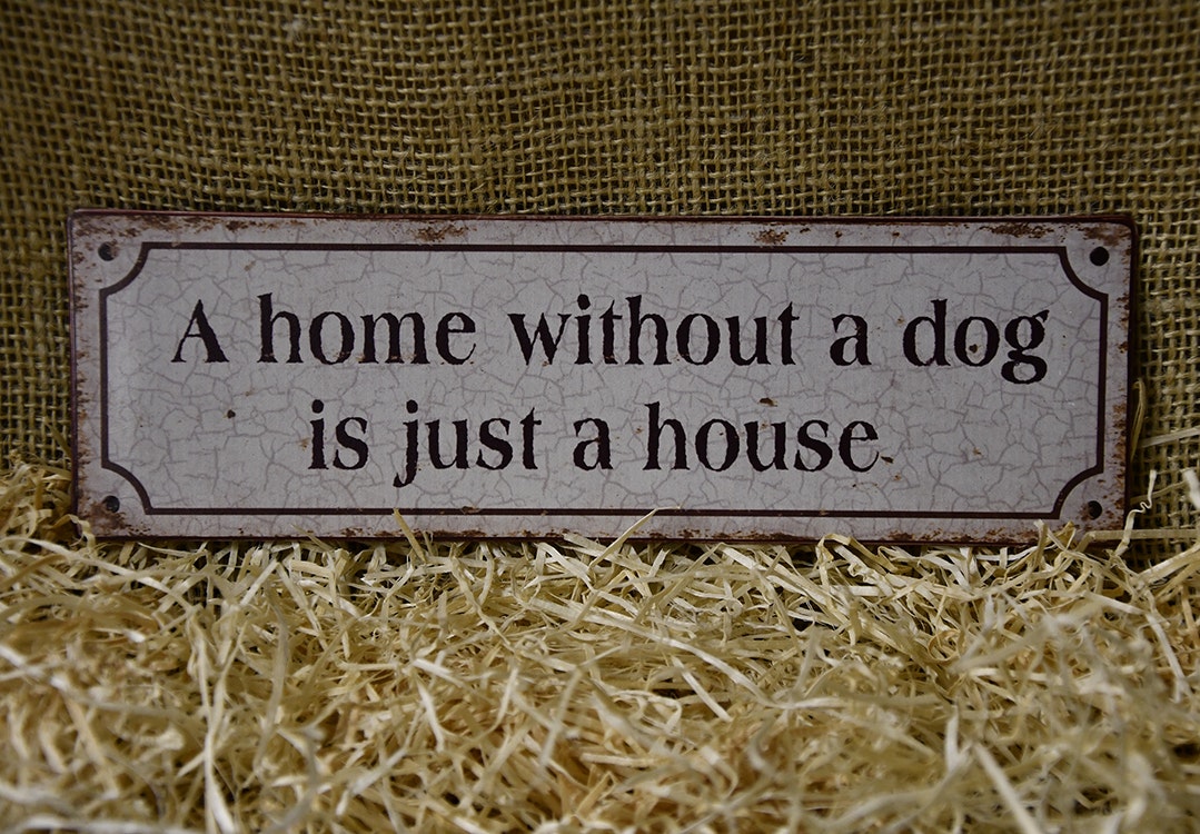 A home without a Dog