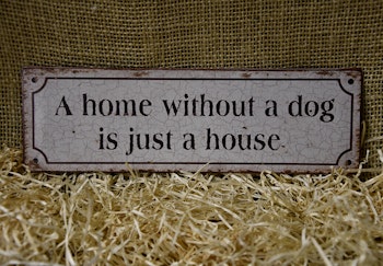 A home without a Dog