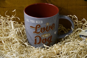 All you need is Love and a Dog