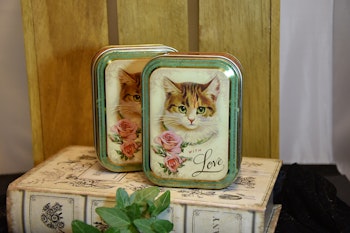 Vacker Nostalgiask Katt