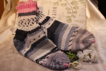 Raggsockor