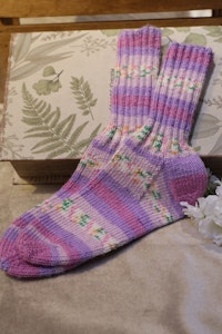 Raggsockor