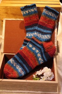 Raggsockor