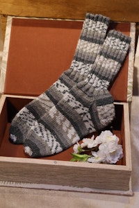 Raggsockor