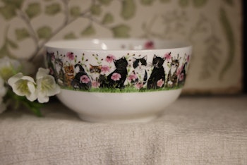 Skål med söta katter och rosa blommor