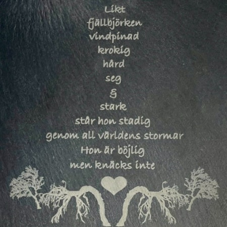 Vägglykta Fjällbjörk