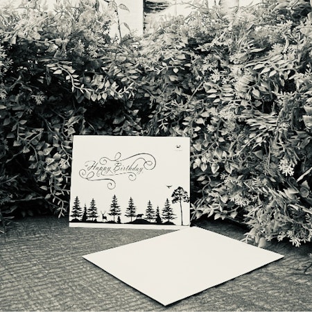 Grattiskort Skog