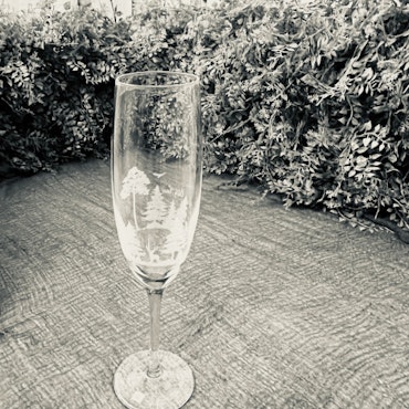Bubbelglas Skog
