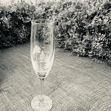 Bubbelglas Skog