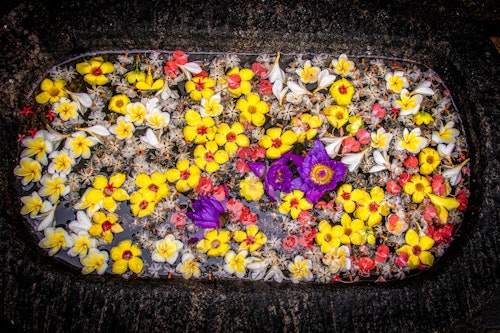 Blomster, Sri Lanka