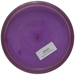 Roc3 Champion (7)