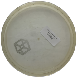 MD3 C-Line (8)