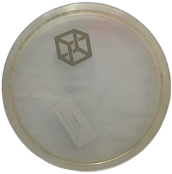 MD3 C-Line (7)