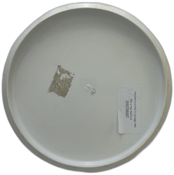PModelS Dura Flex (7)