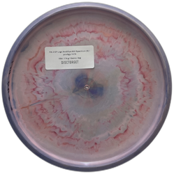 PA-3 SP Logo AndiDye 500 Spectrum (9)