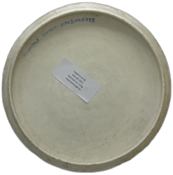 Hawk Pro D (6)