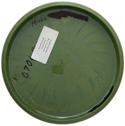 Pilot Neutron (8)