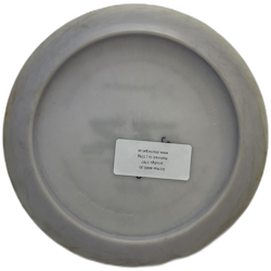 D2 Max 400G (6)