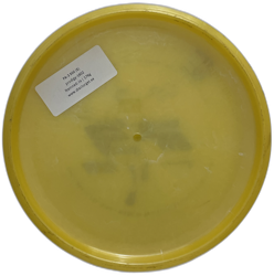 PA-3 500 (6)
