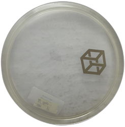 MD3 C-Line (9)