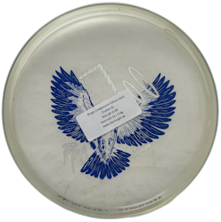 Ringer Ledgestone Edition 2023 Cryztal (8)