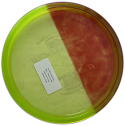 MD3 C-Line (9)