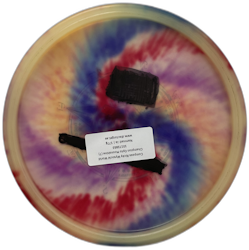 Compass Ricky Wysocki World Champion Opto Moonshine (7)