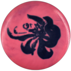 Leopard Star (7)