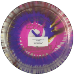 Thunderbird Champion (9)
