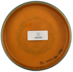 Proxy Plasma (7)