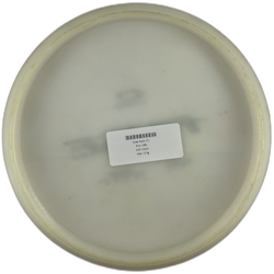 Fuse Opto (7)