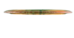 Tern Champion (6)