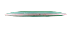 X3 Catrina Allen Signature Series 500 (6)