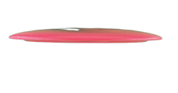 Tern Champion (7)