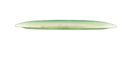 Sword VIP (6)