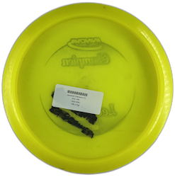 Leopard3 Champion (7)