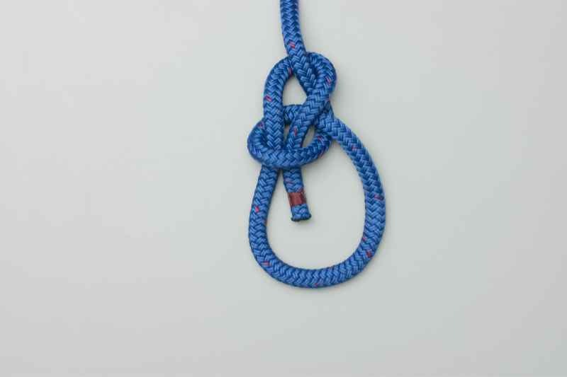 Bowline knot
