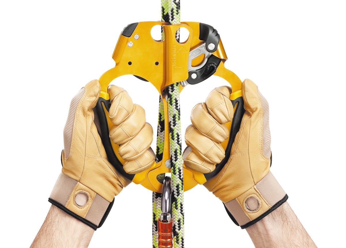 PETZL ASCENTREE