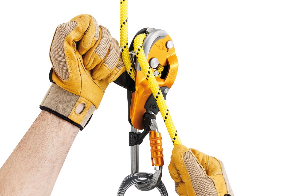 PETZL RIG