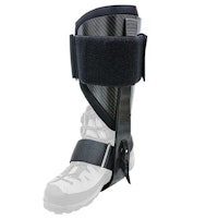 Distel Carbon 3